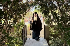 foto-despoths-thivon