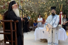 fvto-despotis-thivon